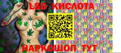 мдпв Новозыбков