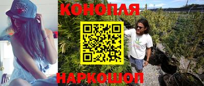 бошки Новокубанск