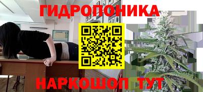 мдпв Новозыбков