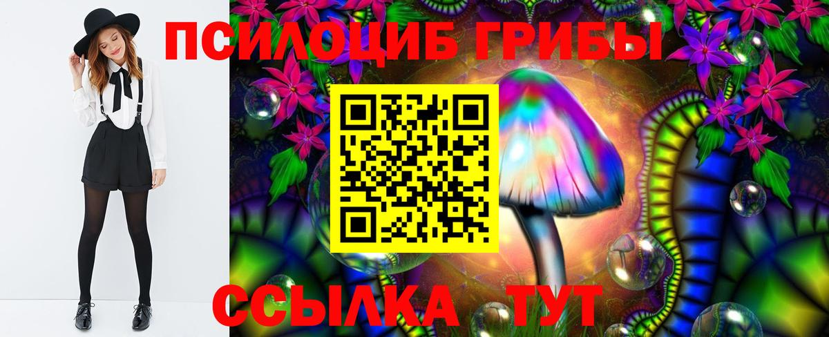 Галлюциногенные грибы Psilocybine cubensis  Вход с VPN  Краснотурьинск 